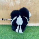 NAPOLEONIC FRENCH BEARSKIN OFFICER HAT - Image 4