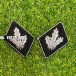 SS Brigadefuhrer Collar Tabs