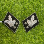SS Obergruppenfuhrer Collar Tabs